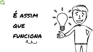 Organização da Equipa Multidisciplinar